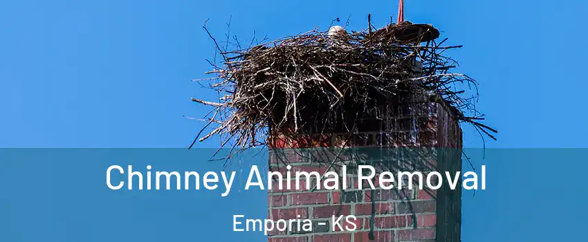  Chimney Animal Removal Emporia - KS