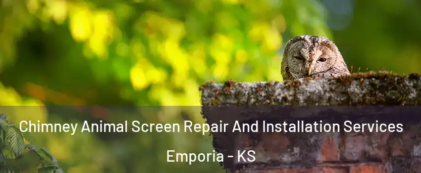  Chimney Animal Screen Repair And Installation Services Emporia - KS