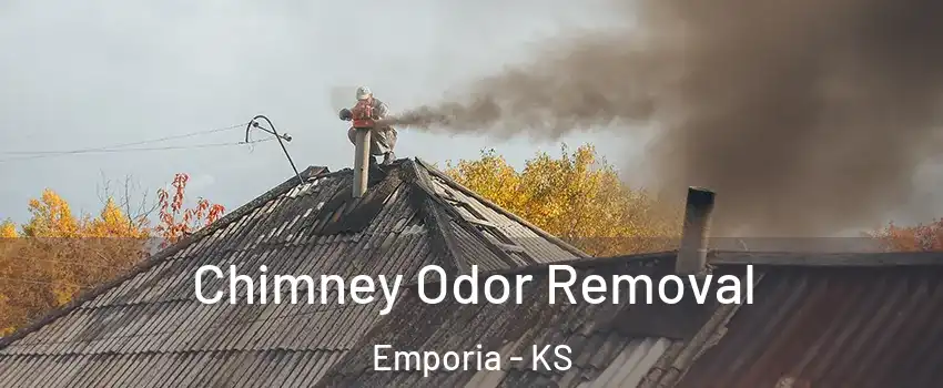  Chimney Odor Removal Emporia - KS