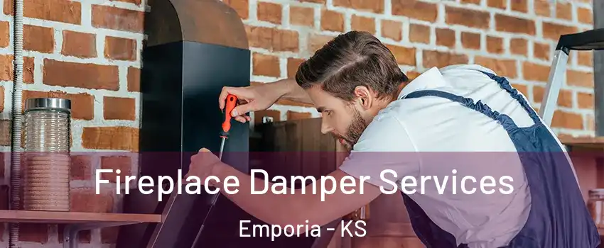  Fireplace Damper Services Emporia - KS