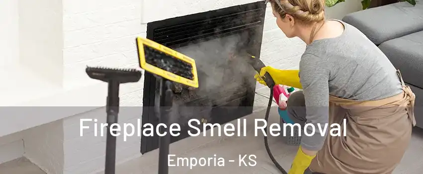 Fireplace Smell Removal Emporia - KS
