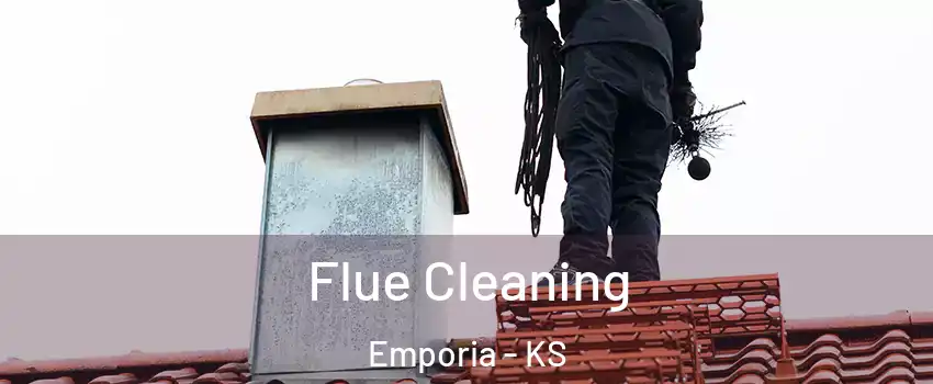  Flue Cleaning Emporia - KS