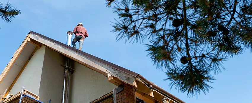 Birds Removal Contractors from Chimney in Emporia, KS