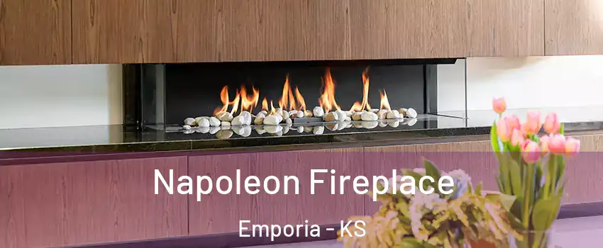  Napoleon Fireplace Emporia - KS